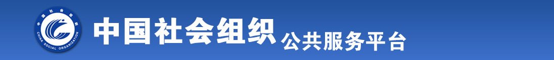 肏逼av全国社会组织信息查询